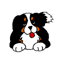 PETS (Barney, the ReadyCare Mascot)