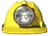 SEARCH & RESCUE